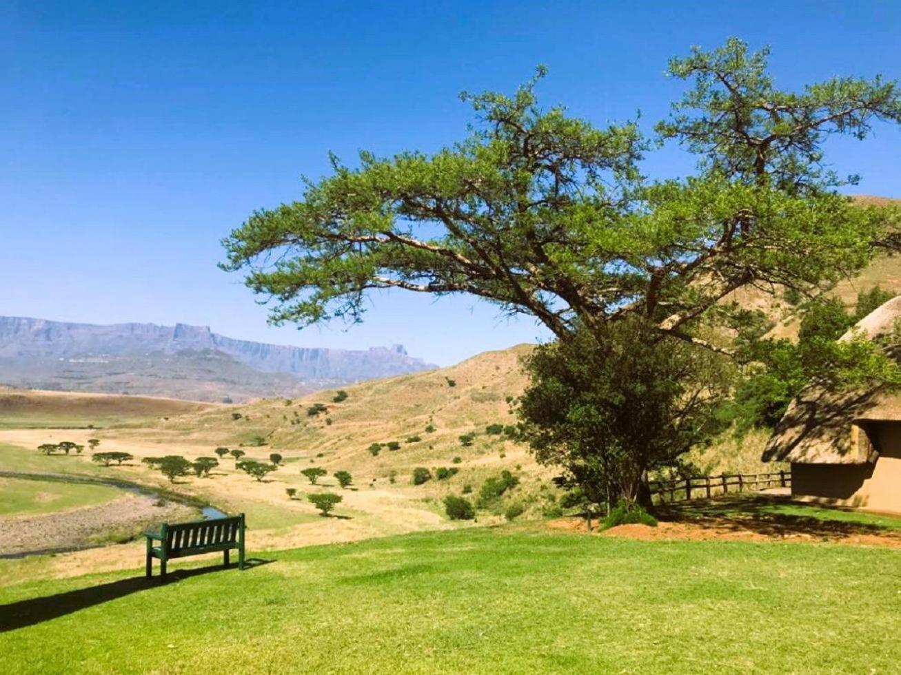 Hlalanathi Drakensberg Resort バーグビル エクステリア 写真