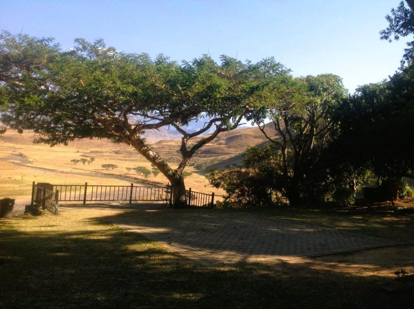 Hlalanathi Drakensberg Resort バーグビル エクステリア 写真