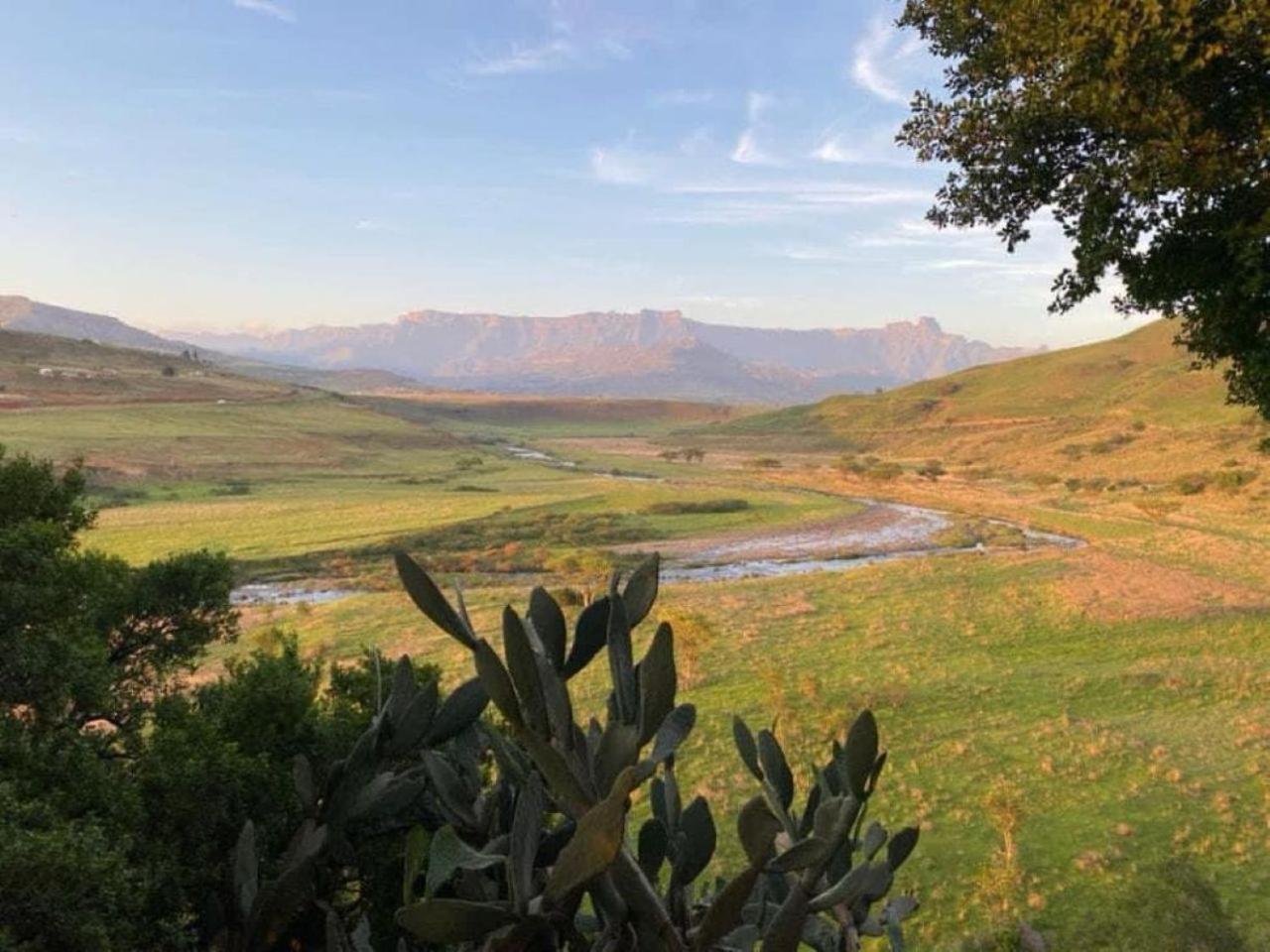Hlalanathi Drakensberg Resort バーグビル エクステリア 写真